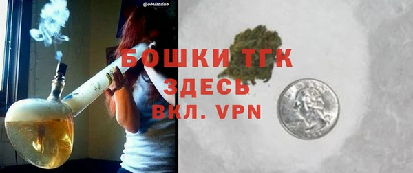 ALPHA PVP Осинники