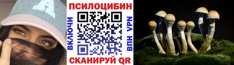 Псилоцибиновые грибы Psilocybe закладки blacksprut сайт Евпатория