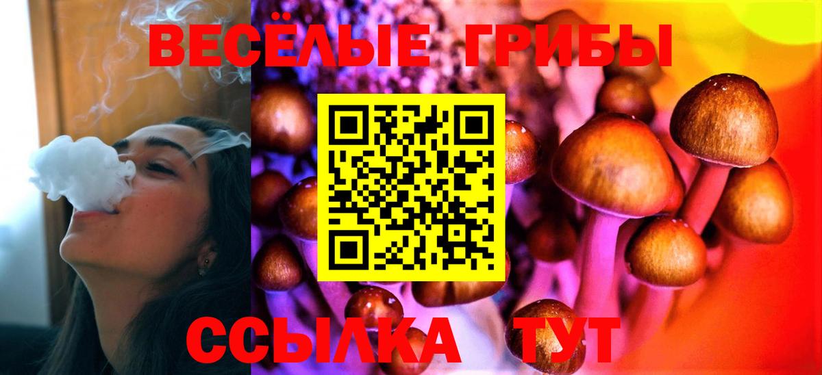Галлюциногенные грибы прущие грибы Евпатория